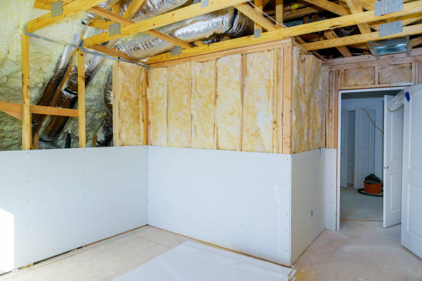 Best Energy-efficient Insulation  in Haynesville, LA