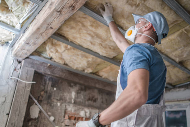 Best Cellulose Insulation  in Haynesville, LA