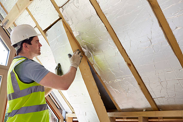 Best Insulation Installation Cost  in Haynesville, LA